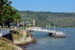 Oberwesel/Rhein - Rheinufer und mit Hintergrund der Ochsenturm - 17.09.2014