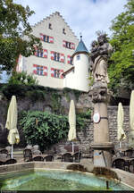 Josephs-Brunnen und Rckseite des Neuen Schlosses in Tiengen (Waldshut-Tiengen).