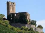 Burg-Ehrenfels, thront am nordstlichen Rheinufer des Rdesheimer Berges, inmitten der besten Weinlagen Deutschlands; 120829