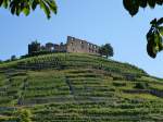 Staufen, Blick zur Burgruine vom Fue des Burgberges, Baubeginn war um das Jahr 1100, 1602 erlischt das Geschlecht der Staufer und ab 1607 ist die Burg unbewohnt, 1632 Zerstrung durch die Schweden im