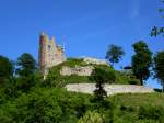 Ruine Schenkenburg, auf dem 391m hohen Umlaufberg im oberen Kinzigtal, erbaut 1220-50, 1534 zerstrt, Mai 2015