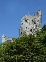 Die Burgruine auf dem Drachenfels im Siebengebirge.