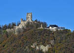 Drachenfels mit Burgruine im Siebengebirge - 09.11.2021