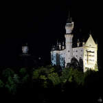 Das Schloss Neuschwanstein bei Nacht.
