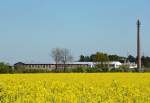 Alte Tuchfabrik in Euskirchen, versteckt hinter Rapsfeld - 16.04.2014