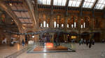 Ein riesiges Saurierskelett im Naturhistorischen Museum London.