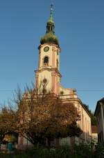 Herbolzheim, die Pfarrkirche St.Alexius, wurde 1752-54 im Barockstil erbaut, Nov.2011