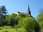 Nordweil, hoch ber dem Ort steht die barocke Kirche der Hl.Barbara, Juni 2017