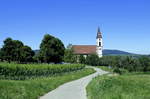 Nimburg, die Bergkirche steht auerhalb des Ortes auf dem Nimberg, Juni 2020