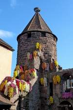 Lahr im Schwarzwald, der Storchenturm, ein Wahrzeichen der Stadt im Blumenschmuck der jhrlich stattfindenden  Chrisanthema , Nov.2011