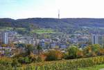 Lrrach, Blick von den Weinbergen am Tllinger Berg ber die Haser von Lrrach-Stetten zum Fernsehturm Basel-St.Chrischona, Okt.2020