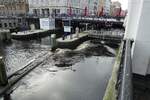 Hamburg am 23.1.2022: Die Rathausschleuse am Rathausmarkt bildet den Hauptabfluss der Binnen- und Auenalster ber das Alsterfleet in die Elbe.