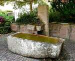 Wittichen, Brunnen auf dem Gelnde des ehemaligen Klosters, Juli 2025