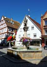 Munderkingen, der Martinsbrunnen, Aug.2012