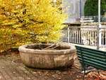 Vallorbe, Brunnen aus dem Jahr 1836 an der Rue des Grandes Forges  - 25.10.2013