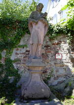 Holzhausen, die Statue des Hl.Nepomuk steht vor dem Schlo, Alter unbekannt, Juni 2022