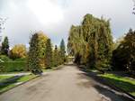 Zrich, Friedhof Enzenbhl - 06.10.2014