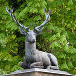 Ein stolzer Hirsch bewacht den Eingang zum Schlosspark Glienicke.