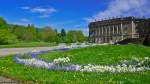 Bunte Blumen zieren die Grnflchen auf der Innenseite des Schlosses Wilhelmshhe in Kassel.