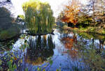 Sptherbst im Schillerpark in Euskirchen - 22.11.2017