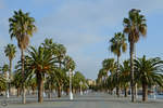 Der alte Hafen mit seiner Promenade in Barcelona.