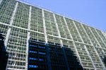 Bambusgerst vor einem Hochhaus in Kowloon in Hong Kong.