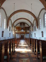 Holstebro, Innenraum mit niederlndischem Altar von 1510 in der Ev.