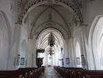 Stege, Innenraum mit Kalkmalereien von 1494 in der evangelischen St.