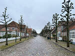 Lindenbume an der Schlossstrae in Mgeltondern (dnisch Mgeltnder).