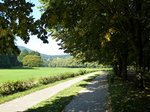 Baden-Baden, Blick entlang der Lichtentaler Allee, berhmteste Parkanlage der Stadt, Sept.2015