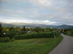 Freiburg/Breisgau,  Blick vom Lehener Bergle auf die Stadt  und die Schwarzwaldberge,  Aug.2008