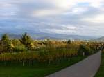 Freiburg-Lehen, Blick vom Lehener Berg ber die Stadt zum Schwarzwald, Okt.2013