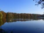 Freiburg-Landwasser, der Moosweiher im Herbst, Nov.2013