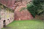 Alte Mauer und Grnes, Schloss Heidelberg, 28.02.2009 (Matthias)