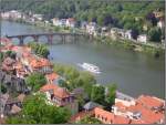 Blick auf den Neckar vom Schloß aus.