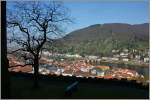 Ausblick von der Terrasse des Schlosses ber Heidelberg  (28.03.2012)