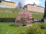 Meersburg, Staatsweingut.