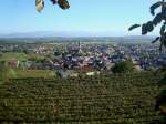 Ihringen, am Sdrand des Kaiserstuhles gelegen, ist der wrmste Ort in Deutschland, im Hintergrund der Schwarzwald, Okt.2010 