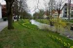 Bad Krozingen, die Neumagen fliet vom Schwarzwald kommend durch den Ort und den Kurpark, April 2012