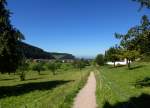 Glottertal/Schwarzwald, Fuweg ins untere Glottertal, Sept.2013