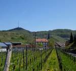 Bickensohl im Kaiserstuhl, Blick auf den Winzerort (Heimat des Grauburgunders), im Hintergrund der 557m hohe Totenkopf, April 2013