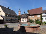 Merdingen, Stockbrunnen mit St.