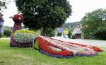 Schluchsee, Blumenschmuck-Pfau an der Fischbacher Strae, Aug.2020