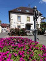 Bischoffingen, Brunnen vor dem Weingut Bhler in der Dorfstrae (14.08.2016)