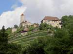 Burg Hornberg bei Gundelsheim, erbaut im 11.