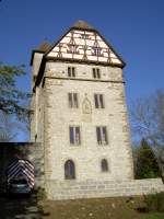 Burg Buchenbach, Hangburg auf 308 M.