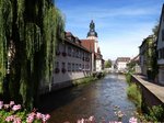 Ettlingen, die Alb durchfliet vom Schwarzwald kommend die Stadt, links der Rathausturm, Aug.2015