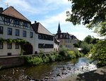 Ettlingen, entlang der Alb, Aug.2015