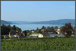 Blick vom hchsten Punkt der Insel Reichenau auf das Dorf Mittelzell und den Rheinsee, der hier die Grenze zwischen Deutschland (rechtes Ufer) und der Schweiz (links) bildet.