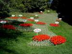 Insel Mainau im Bodensee, Blumenbeet in Form des Bodensees mit den Anliegerortschaften, April 2007